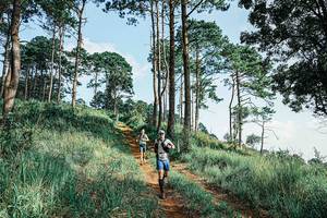 BIB: 
                            <button type="button" onclick="openModal(25671850)" class="btn btn-primary btn-sm float-right btn-popup" data-toggle="modal" data-target=".modal-high-quality">
                        <i class="fas fa-shopping-cart"></i> Add to Cart
                    </button>
                                            <button type="button" onclick="isThisMe(25671850, true)" class="btn btn-success btn-sm float-right btn-popup btn-isme hidden" data-toggle="tooltip" data-placement="bottom" title="นี่คือรูปของคุณใช่ไหม คลิกที่นี่เพื่อเอาเข้าอัลบั้ม">
                        <i class="fas fa-plus"></i> Add to album
                    </button>
                    <button type="button" onclick="isThisMe(25671850, false)" class="btn btn-warning btn-sm float-right btn-popup btn-isnotme hidden">
                        <i class="fas fa-ban"></i> Remove from album
                    </button>